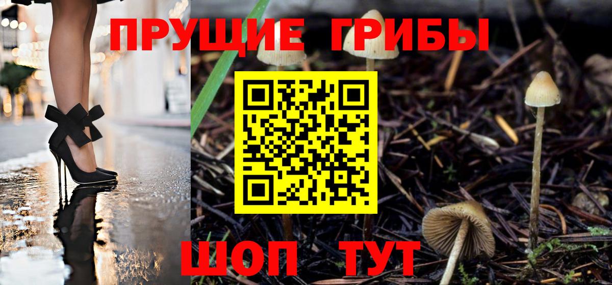 Псилоцибиновые грибы MAGIC MUSHROOMS  закладки  Верхний Уфалей  Вход с VPN 