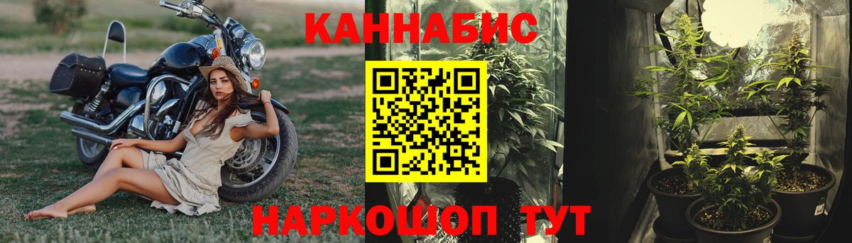 Каннабис план Верхний Уфалей